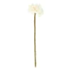 Warm Wonen|Herfst Decoratie*DILLE & KAMILLE Bloem, vilt, wit, ca. 26 cm