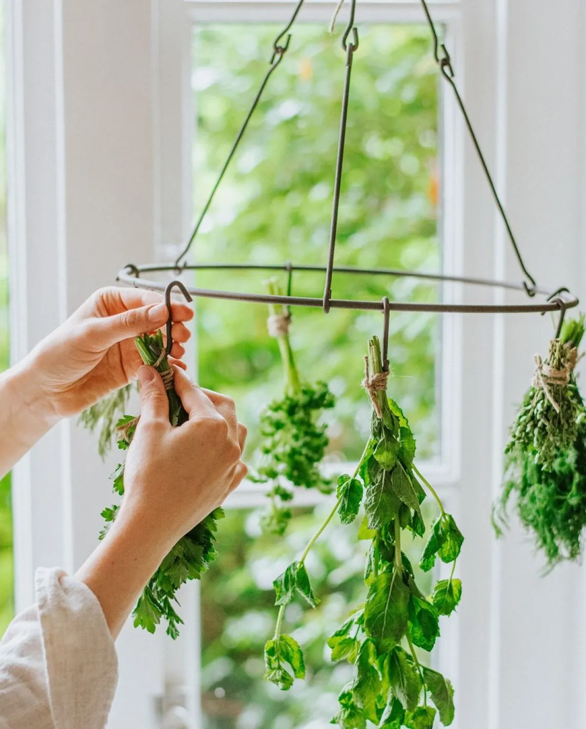 Diy|Inmaken & Wecken*DILLE & KAMILLE Bloemen- en kruidendroger