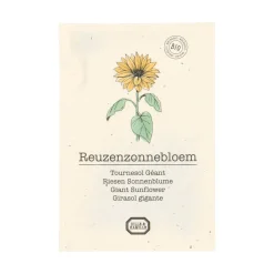 Zaaien*DILLE & KAMILLE Bloemzaden, biologisch, zonnebloem, 2.5 g