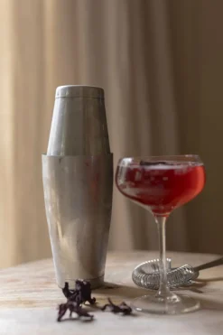 Glazen*DILLE & KAMILLE Cocktailglas, coupe, 300 ml