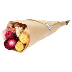 Herfst Decoratie|Droogbloemen*DILLE & KAMILLE Droogbloemen, gemend boeket, helychrisum mix