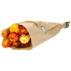 Tinten En Texturen|Droogbloemen*DILLE & KAMILLE Droogbloemen, helychrisum, oranje