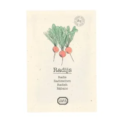 Zaaien*DILLE & KAMILLE Groentezaden, biologisch, radijs, 3 g