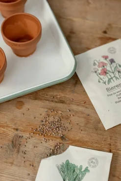 Zaaien*DILLE & KAMILLE Groentezaden, biologisch, radijs, 3 g