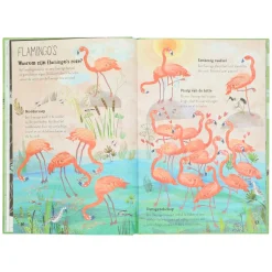 Kinderboeken*DILLE & KAMILLE Het Vrolijke Vogel Boek, Yuval Zommer