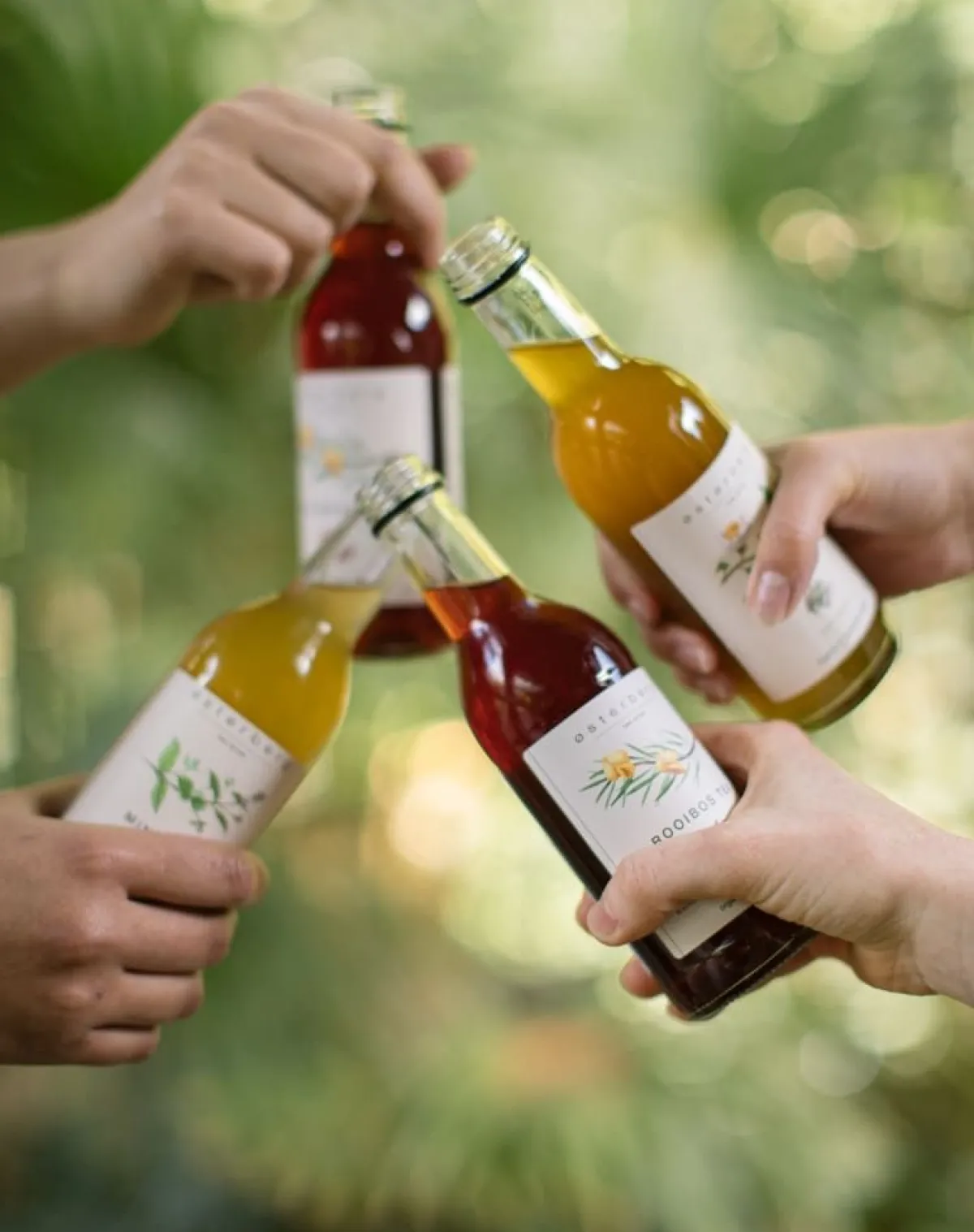 Limonades*DILLE & KAMILLE IJsthee, biologisch, munt, yuzu, rozemarijn, 250 ml
