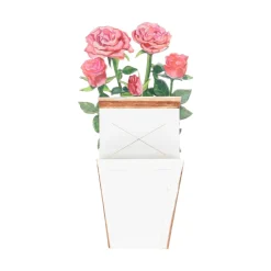 Kaarten*DILLE & KAMILLE Kaart 3D met envelop, rozen
