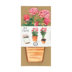 Kaarten*DILLE & KAMILLE Kaart 3D met envelop, rozen