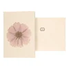 Kaarten|Kaarten*DILLE & KAMILLE Kaart met envelop, cosmos