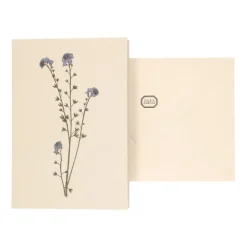 Kaarten|Kaarten*DILLE & KAMILLE Kaart met envelop, vergeet-me-nietje
