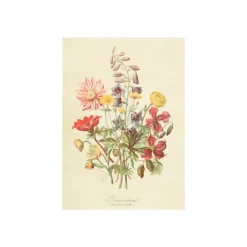 Kaarten|Verjaardagskaarten*DILLE & KAMILLE Kaart, wilde bloemen
