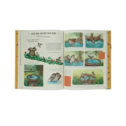 Kinderboeken|Natuurboeken*DILLE & KAMILLE Kalm aan, Rachel Williams
