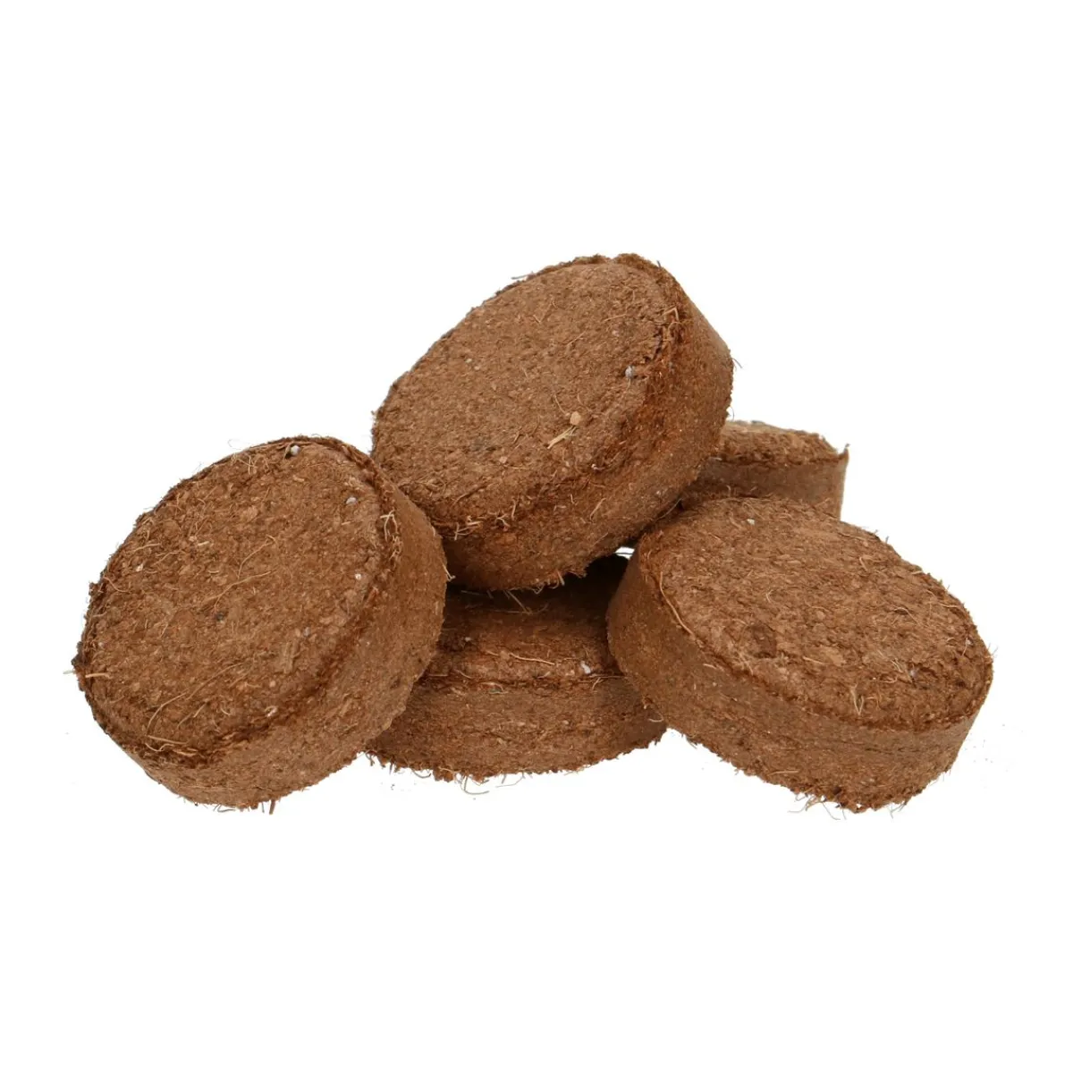 Zaaien*DILLE & KAMILLE Kokospotgrond, 20 tabletten