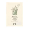 Zaaien*DILLE & KAMILLE Kruidenzaden, biologisch, bieslook, 0.25 g, 0.25 g
