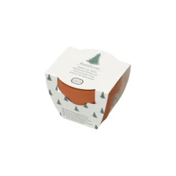 Zaaien*DILLE & KAMILLE Kweek je eigen kerstboom, groeipotje met zaden
