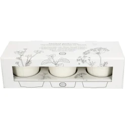Zaaien*DILLE & KAMILLE Kweekset theekruiden, biologisch, set van 3 potjes