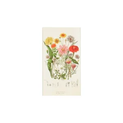 Lucifers*DILLE & KAMILLE Lucifers, wilde bloemen