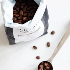 Maatbekers & Maatlepels|Koffiefilters*DILLE & KAMILLE Maatlepel voor gemalen koffie, roestvrij staal