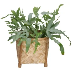 Rieten Manden*DILLE & KAMILLE Pot op pootjes, bamboe, naturel, groot
