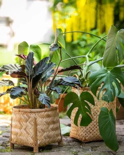 Rieten Manden*DILLE & KAMILLE Pot op pootjes, bamboe, naturel, groot
