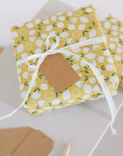 Cadeau Lint|Cadeauversiering*DILLE & KAMILLE Raffia, offwhite
