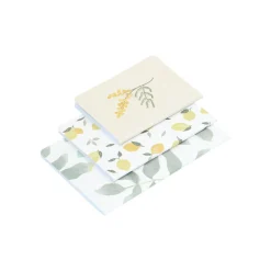 Schriftjes & Notitieboeken|Knutselspullen*DILLE & KAMILLE Setje schriften, blad, citroen en mimosa