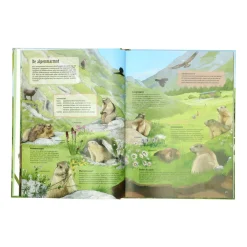 Kinderboeken*DILLE & KAMILLE Wat leeft er in de wei?, Ilka Sokolowski