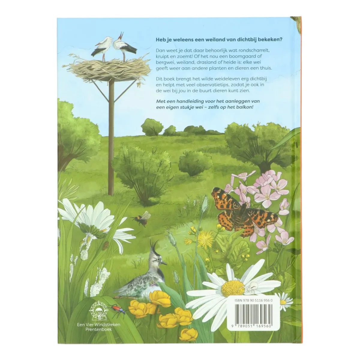 Kinderboeken*DILLE & KAMILLE Wat leeft er in de wei?, Ilka Sokolowski